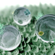 Image for article titled Superhydrophobia spawns the Lotus Effect